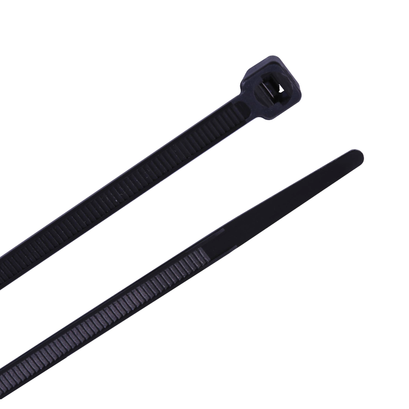 Image of Nylon 12 cable ties
